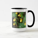 Search for ladys slipper mugs Flower