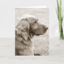 Search for setters cards Irish