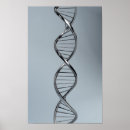 Search for molecular art Genetic