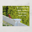 Search for cardinal sympathy cards Condolences