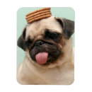 Search for treat magnets Cute