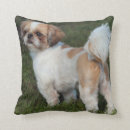 Search for shih tzu cushions Cute