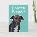 Search for funny dog easter cards Humour