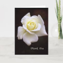 Search for rose sympathy thank you cards White
