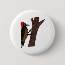 Search for talons accessories Bird