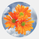 Search for family of three stickers Flowers