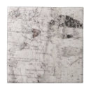 Search for birch bark tiles Tree