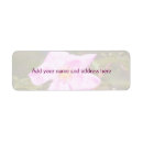 Search for photographer return address labels Pink