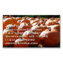Search for halloween business cards Orange