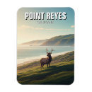 Search for seashore magnets California