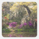 Search for charleston south carolina stickers Southern
