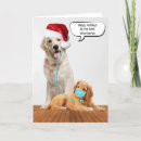 Search for golden retriever christmas cards Animal