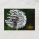 Search for seed business cards Plant