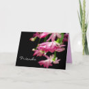 Search for cactus christmas cards Floral