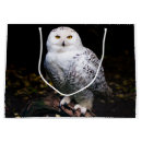Search for big bird gift bags Animal