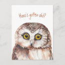 Search for wise old owl Funny