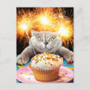 Search for sparklers invitations Cute