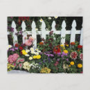 Search for picket postcards Garden