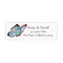 Search for insect labels Nature