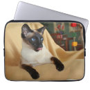 Search for blue eyed electronics Siamese