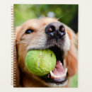 Search for ball planners Animal