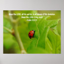 Search for ladybug art Nature