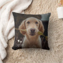 Search for animal face cushions For her