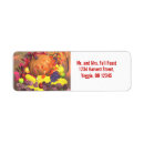 Search for harvest return address labels Fruit