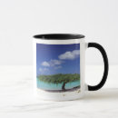 Search for sea eagle mugs Caribbean