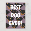 Search for rottweiler birthday cards Cute