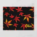 Search for ohio postcards Autumn