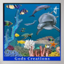 Search for god creation posters Christian