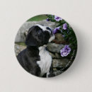 Search for panting badges Dog