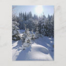 Search for cold postcards Tranquil scene