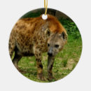 Search for laugh christmas tree decorations Animals