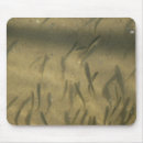 Search for fishie electronics Water