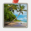 Search for tropical island christmas tree decorations Sand