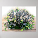 Search for bonsai tree posters Nature