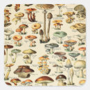 Search for vintage mushroom stickers Plant