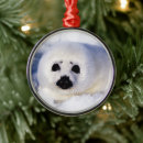 Search for baby seal christmas tree decorations Wild animals