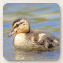 Search for waterfowl barware Animal