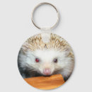Search for hedgehog key rings Hedgie