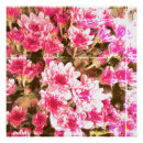 Search for pink designs posters Pink floral design