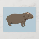 Search for hippo postcards Jungle