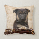 Search for german shepherd cushions Cute