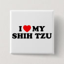 Search for shih tzu accessories Pets