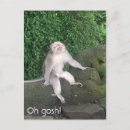 Search for monkey postcards Funny