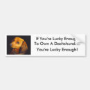 Search for dachshund bumper stickers Dogs