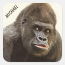 Search for funny gorilla stickers Animal