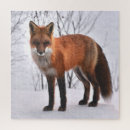Search for winter fox puzzles Nature